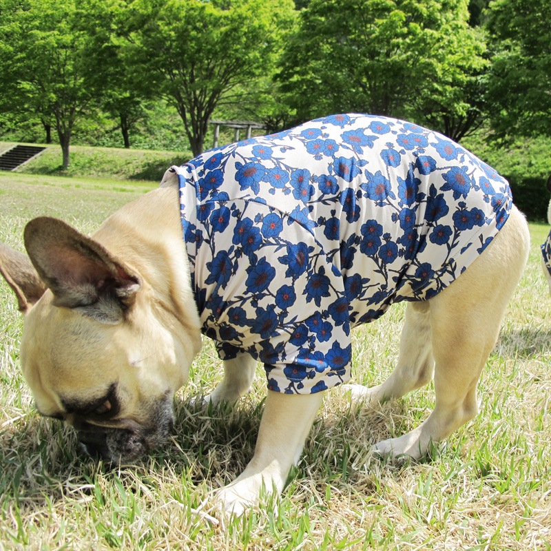 ����ƥ������ե��ץ���T����ġ�T�����2��or���󥯥ȥå�1���T�����1��ϥ᡼���زġ�