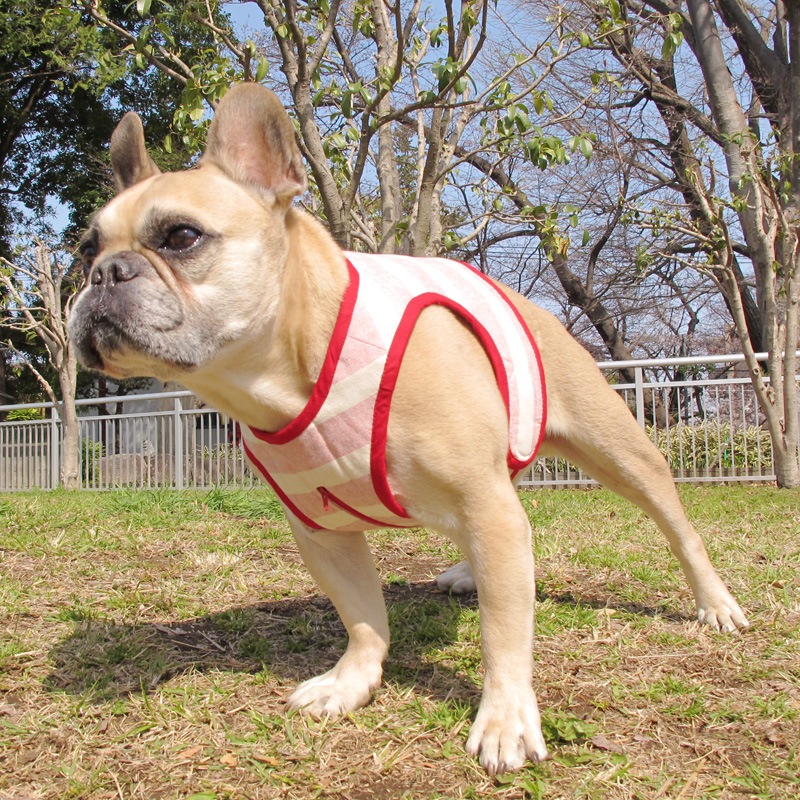 ٥ȡ֥ܡˡ1Τߥ᡼زġ