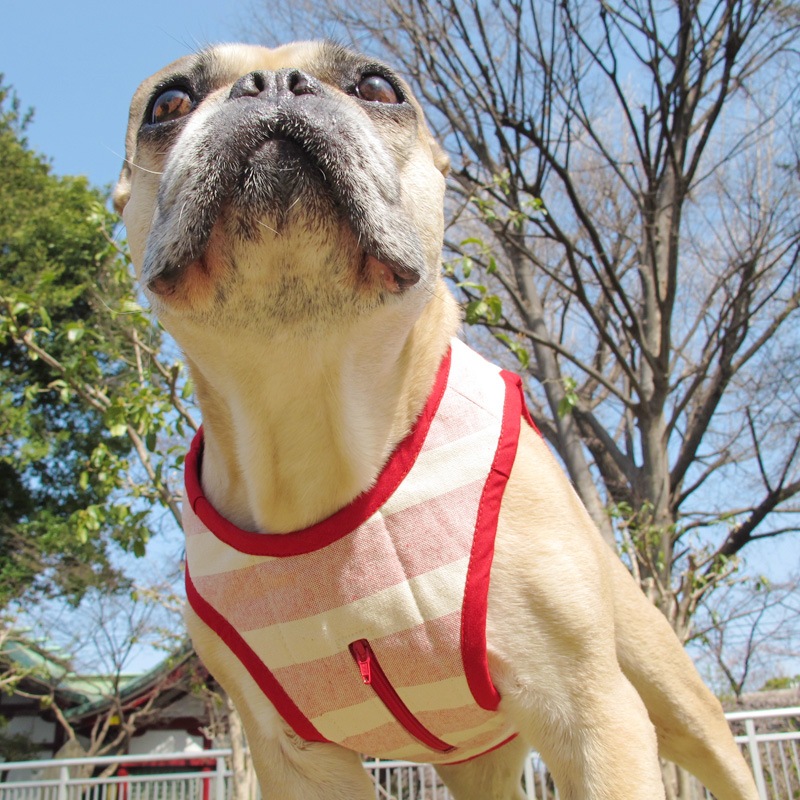 ٥ȡ֥ܡˡ1Τߥ᡼زġ