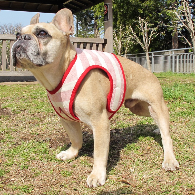 ٥ȡ֥ܡˡ1Τߥ᡼زġ