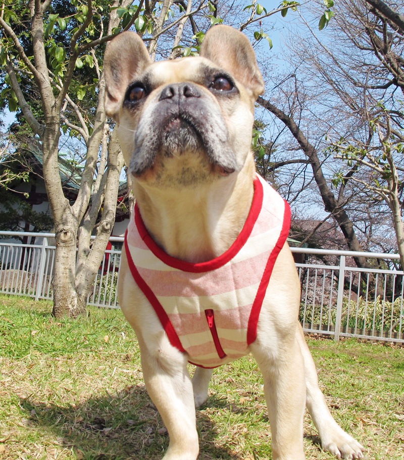 ٥ȡ֥ܡˡ1Τߥ᡼زġ