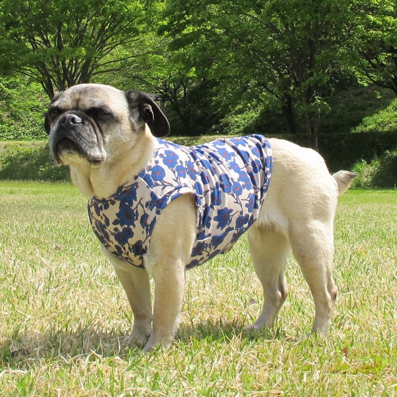 ƥեץȥ󥯥ȥåסT2or󥯥ȥå1T1ϥ᡼زġ