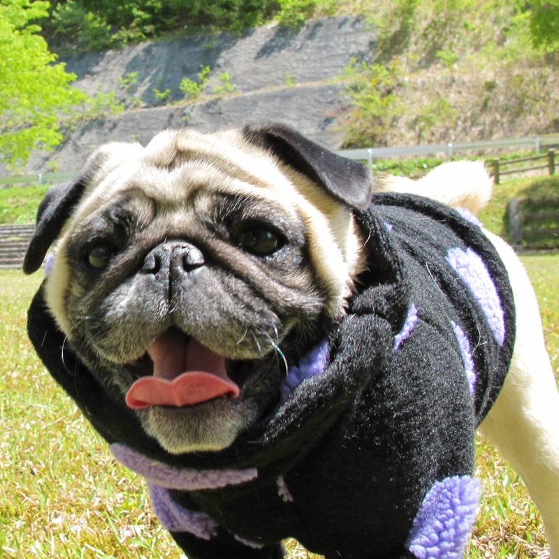 �ϡ��Ȥǥ��եդʰ��̥��������ڥ᡼�����Բġ�