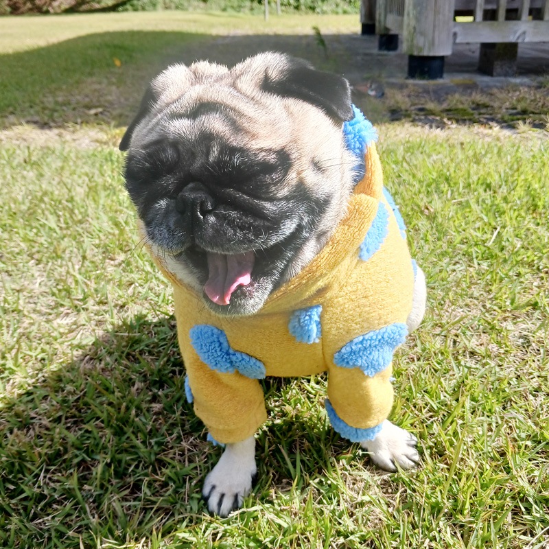 �ϡ��Ȥǥ��եդʰ��̥��������ڥ᡼�����Բġ�