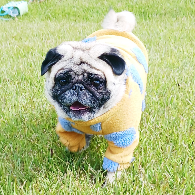 �ϡ��Ȥǥ��եդʰ��̥��������ڥ᡼�����Բġ�