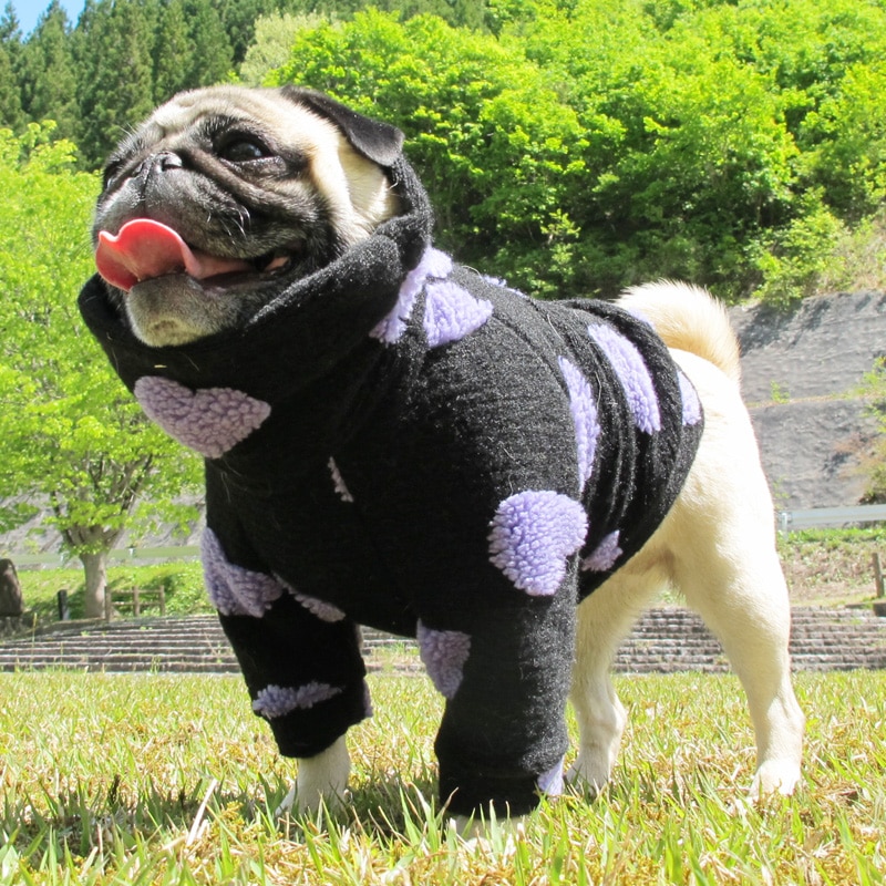 �ϡ��Ȥǥ��եդʰ��̥��������ڥ᡼�����Բġ�