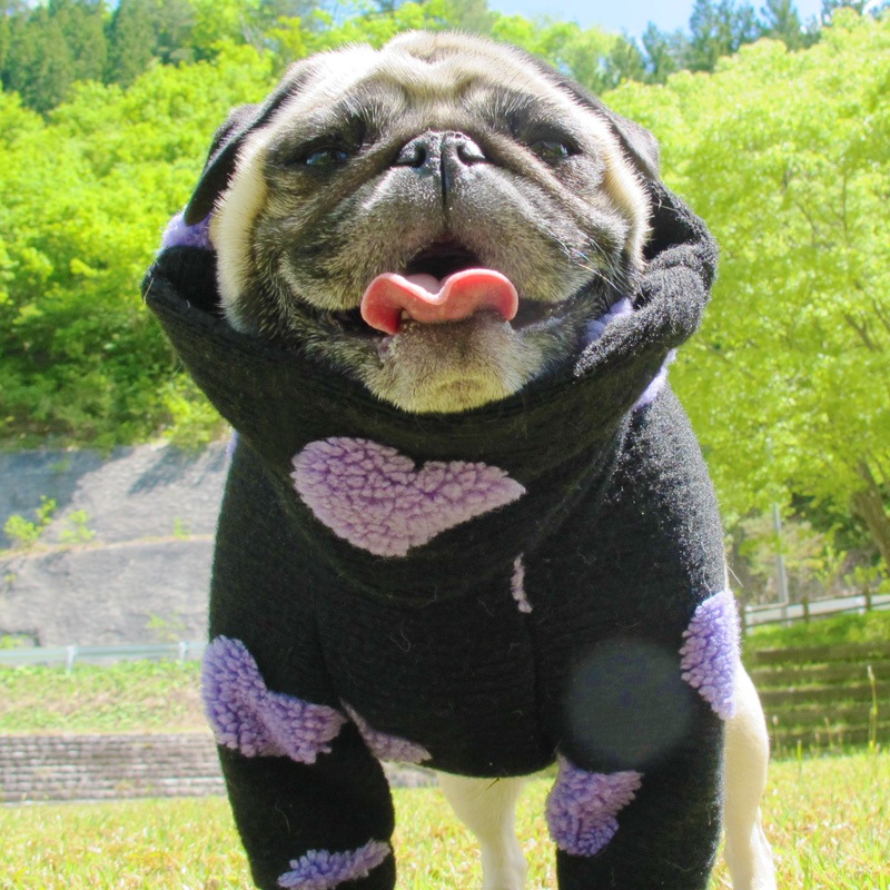 �ϡ��Ȥǥ��եդʰ��̥��������ڥ᡼�����Բġ�