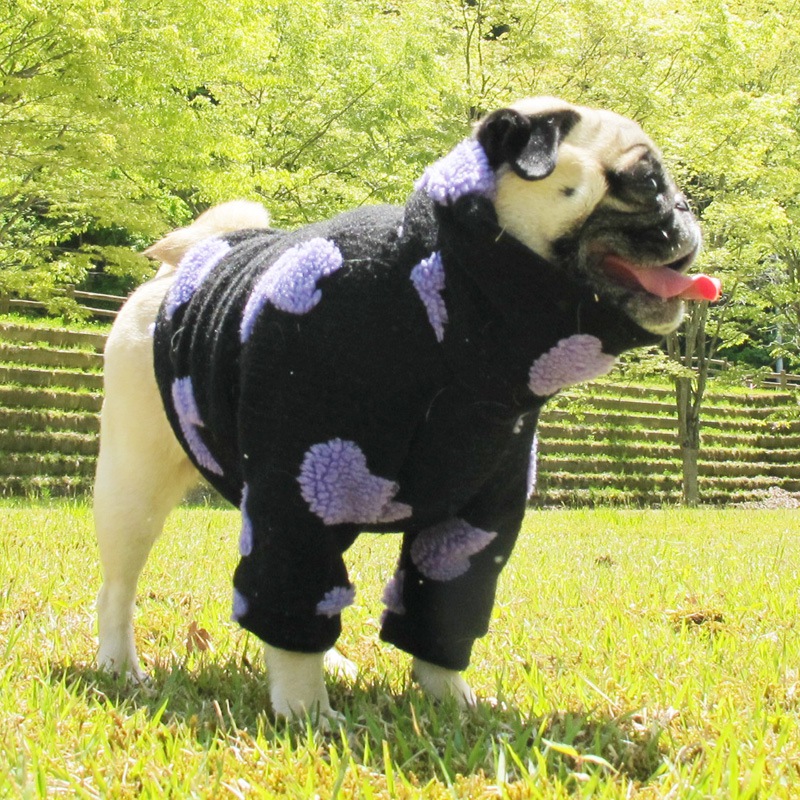 �ϡ��Ȥǥ��եդʰ��̥��������ڥ᡼�����Բġ�