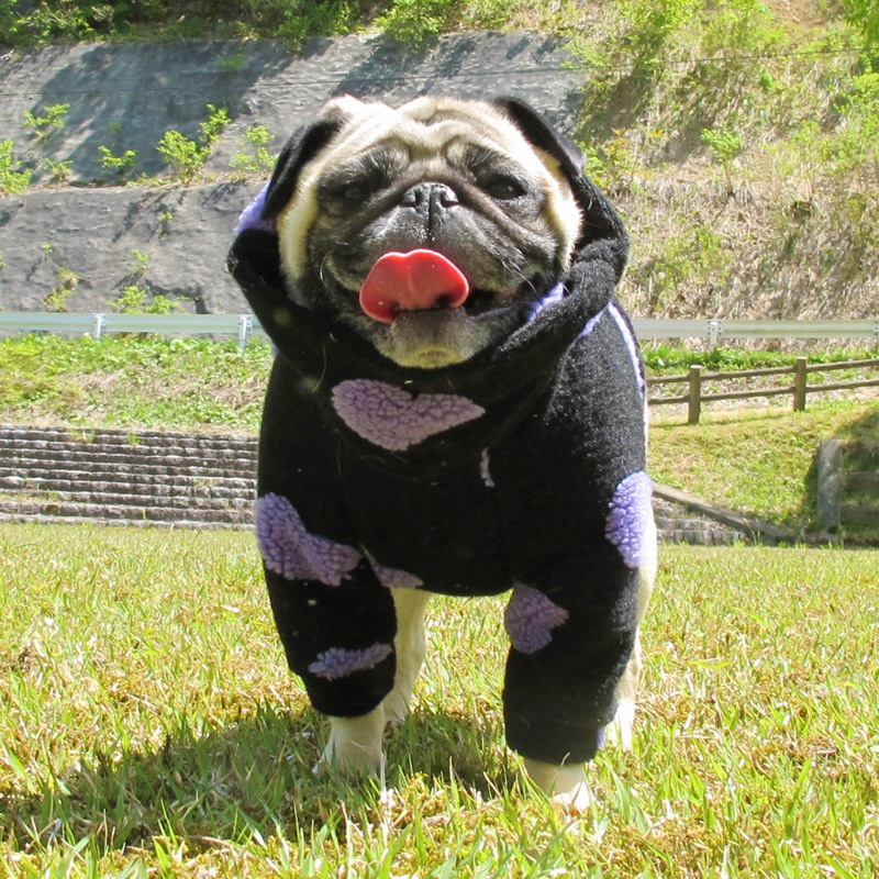 �ϡ��Ȥǥ��եդʰ��̥��������ڥ᡼�����Բġ�