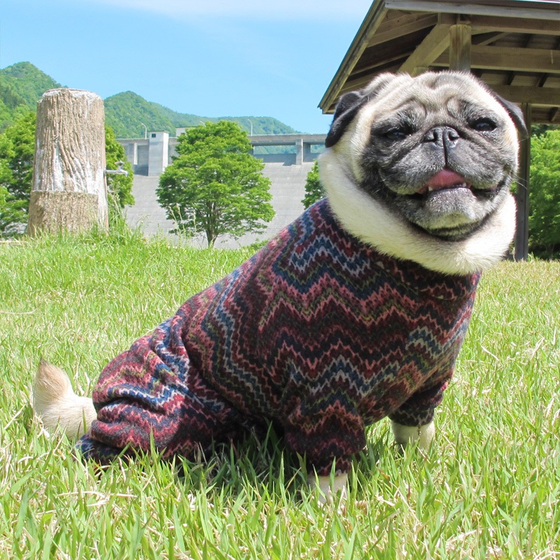 ���������˥åȥ����Ĥʤ��ڰ���Τߥ᡼���زġ�