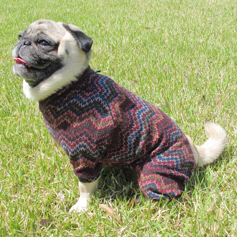 ���������˥åȥ����Ĥʤ��ڰ���Τߥ᡼���زġ�