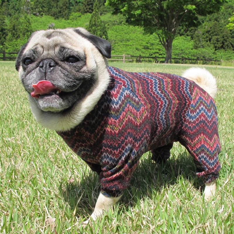 ���������˥åȥ����Ĥʤ��ڰ���Τߥ᡼���زġ�