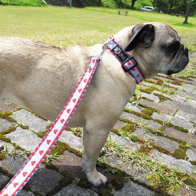 ���㥫���ɥ�ܥ�/�ϡ��������ء�ñ�ʥ᡼���ز�/�꡼�ɤȤΥ᡼����Ʊ���ġ�