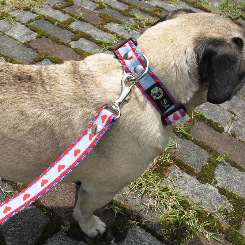 ���㥫���ɥ�ܥ�/�ϡ��������ء�ñ�ʥ᡼���ز�/�꡼�ɤȤΥ᡼����Ʊ���ġ�