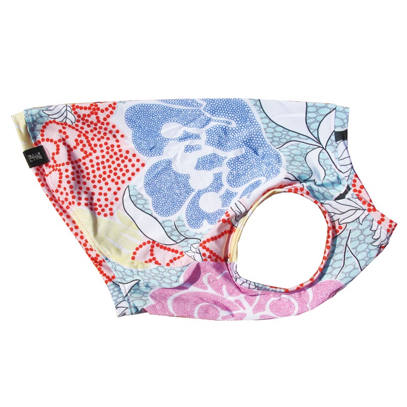 ��������ʥե��ץ��ȥ��󥯥ȥåס�T�����2��or���󥯥ȥå�1���T�����1��ϥ᡼���زġ�