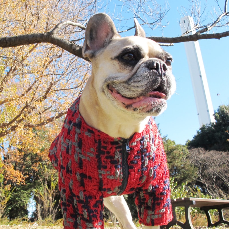 ���ä���ĥ����ɤΥΡ����顼���㥱�åȡڥ᡼�����Բġ�