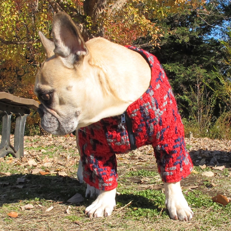 ���ä���ĥ����ɤΥΡ����顼���㥱�åȡڥ᡼�����Բġ�