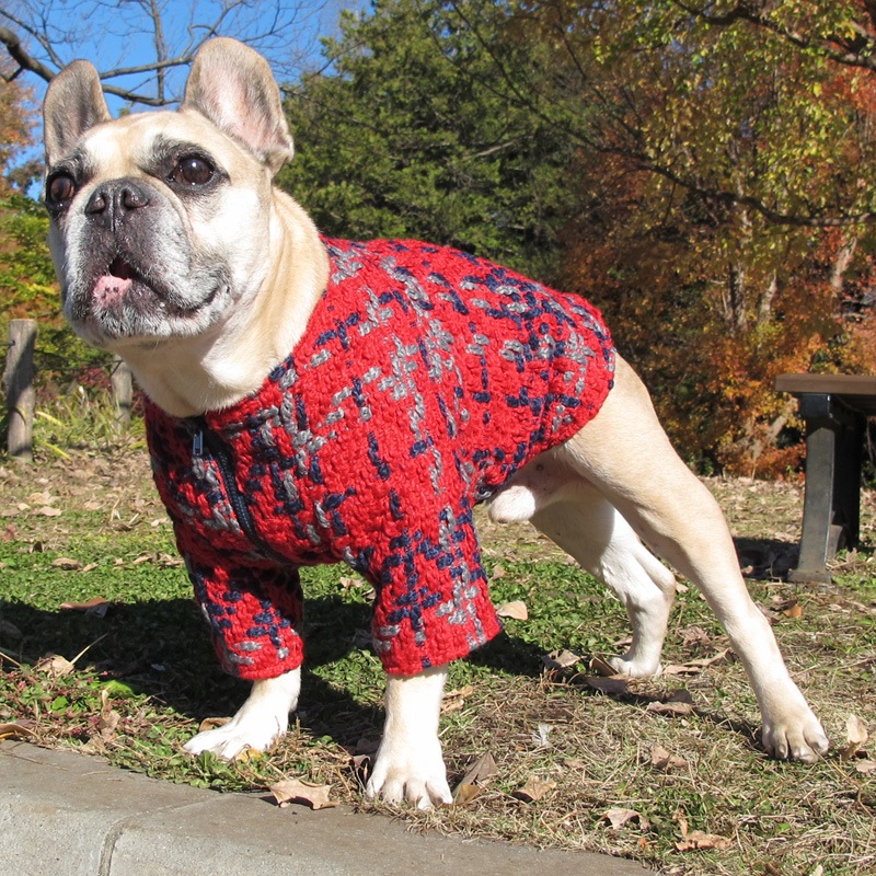 ���ä���ĥ����ɤΥΡ����顼���㥱�åȡڥ᡼�����Բġ�