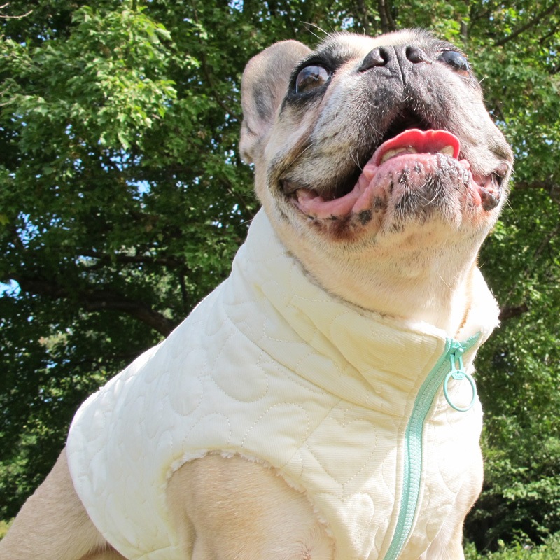 ϡȥƥ󥰥ǥ٥ȡڰΤߥ᡼زġ