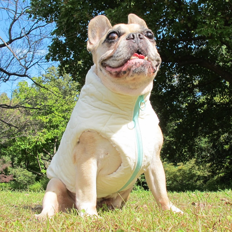 ϡȥƥ󥰥ǥ٥ȡڰΤߥ᡼زġ