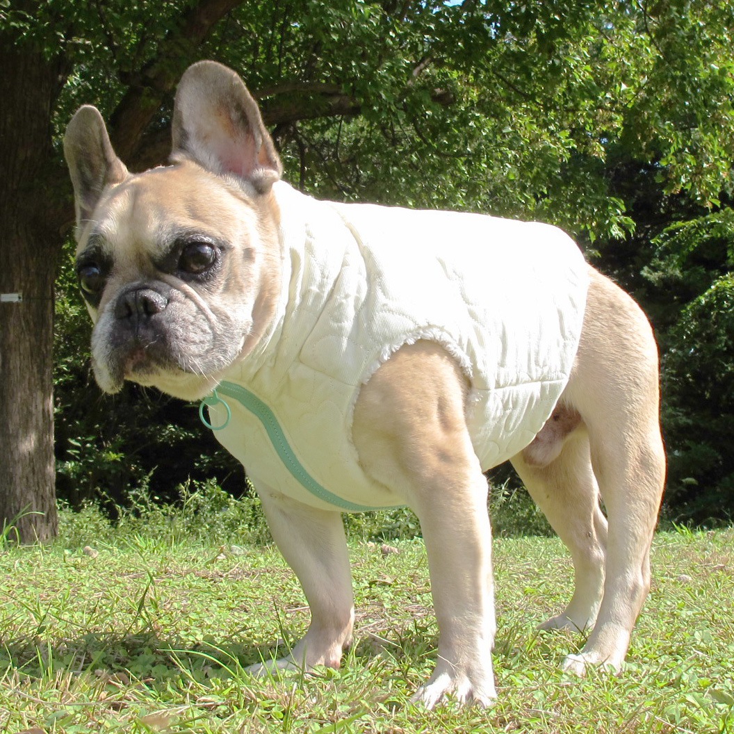 ϡȥƥ󥰥ǥ٥ȡڰΤߥ᡼زġ