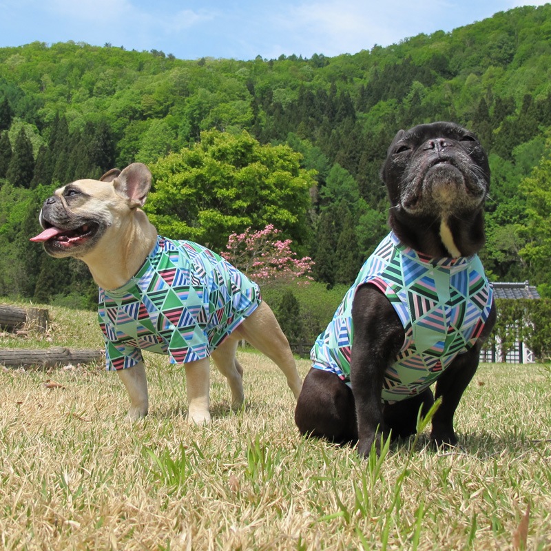 �ե饯����T����ġ�T�����2��or���󥯥ȥå�1���T�����1��ϥ᡼���زġ�