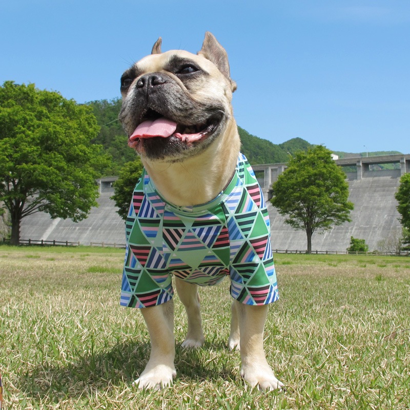 �ե饯����T����ġ�T�����2��or���󥯥ȥå�1���T�����1��ϥ᡼���زġ�