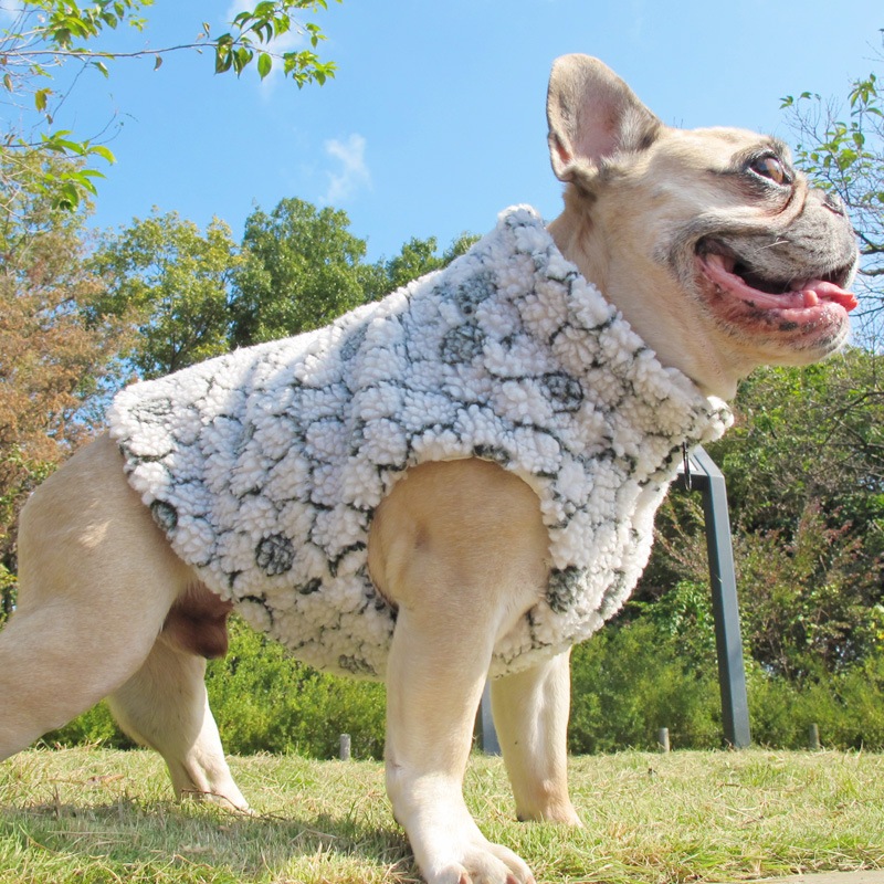 ֤⤳⤳ܥ٥ȡڥ᡼Բġ