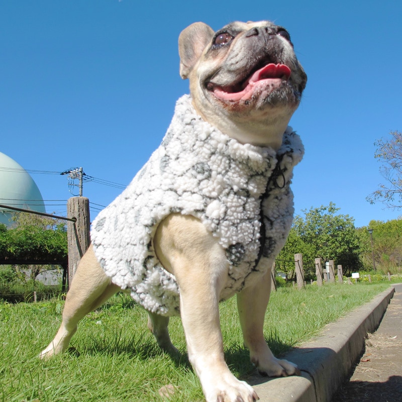 ֤⤳⤳ܥ٥ȡڥ᡼Բġ