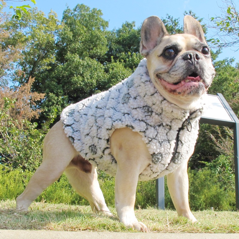 ֤⤳⤳ܥ٥ȡڥ᡼Բġ