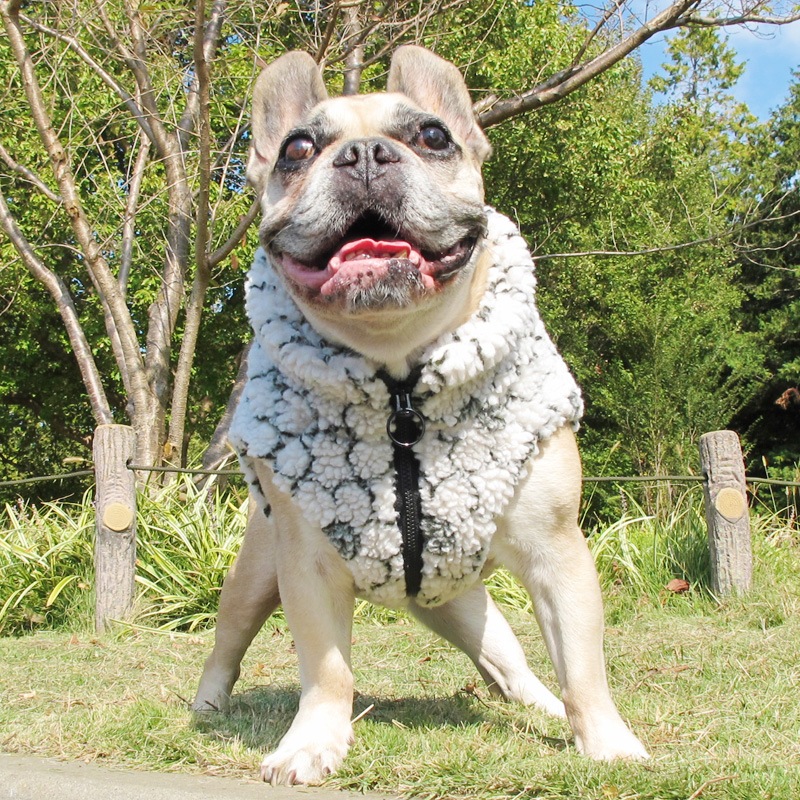 ֤⤳⤳ܥ٥ȡڥ᡼Բġ