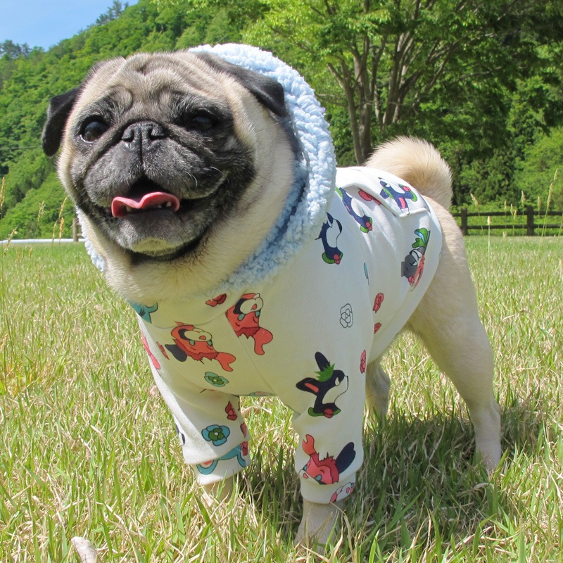 ���å���ʥ��饹��΢�롼�ץѡ����ڥ᡼�����Բġ�