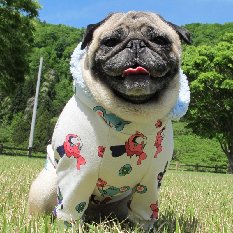 ���å���ʥ��饹��΢�롼�ץѡ����ڥ᡼�����Բġ�