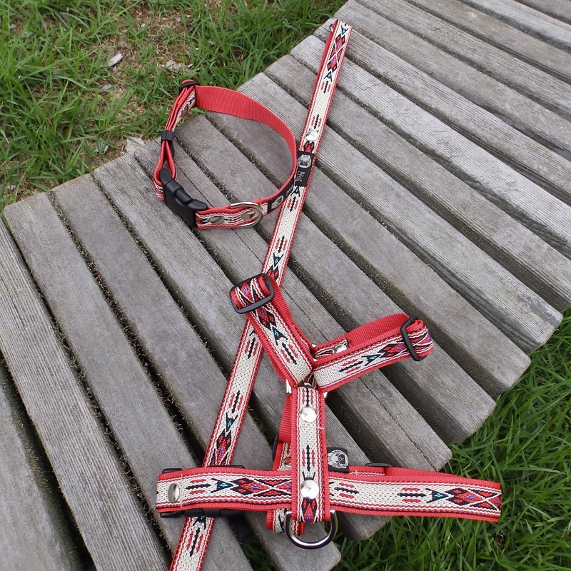 ơ١㥫PPͥƥAء֡ˡñʥ᡼ز/꡼ɤȤΥ᡼Ʊġ