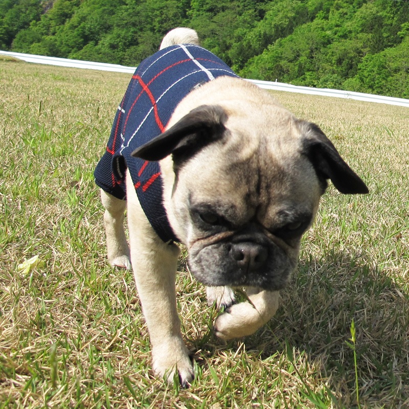 ͥӡåƤĤʤڲƤĤʤ2orƤĤʤ1T()1ϥ᡼زġ