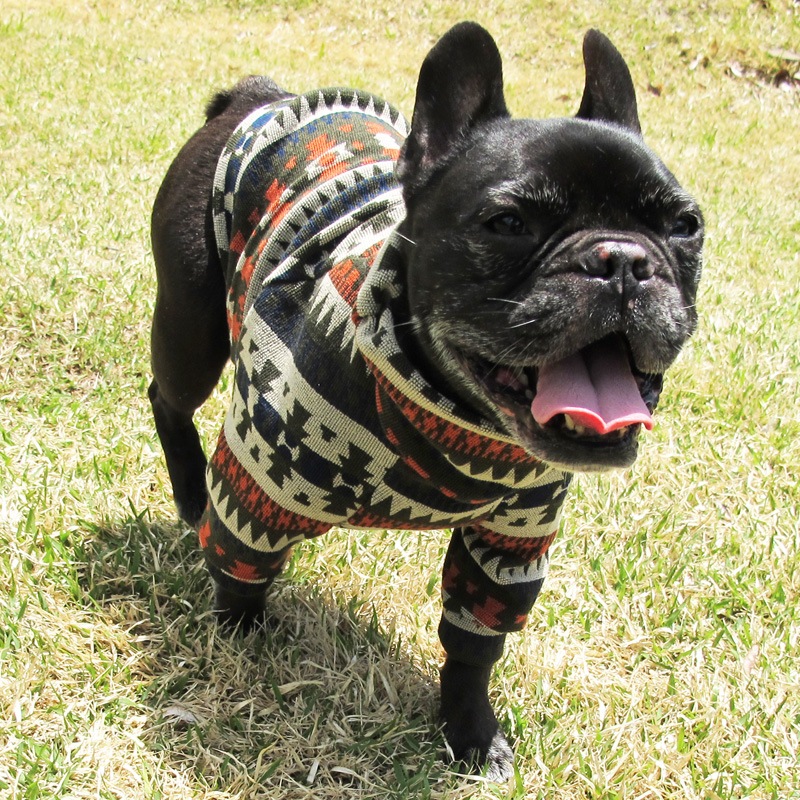 �ͥ��ƥ������ȥ졼�ʡ��ڰ���Τߥ᡼���زġ�