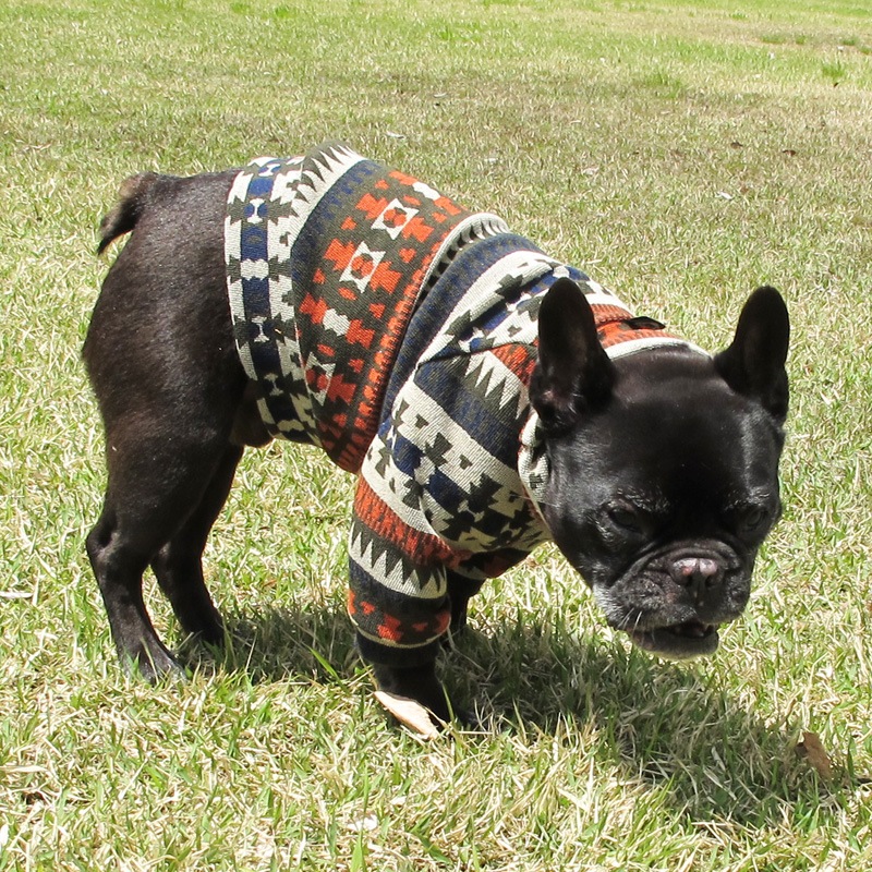 �ͥ��ƥ������ȥ졼�ʡ��ڰ���Τߥ᡼���زġ�