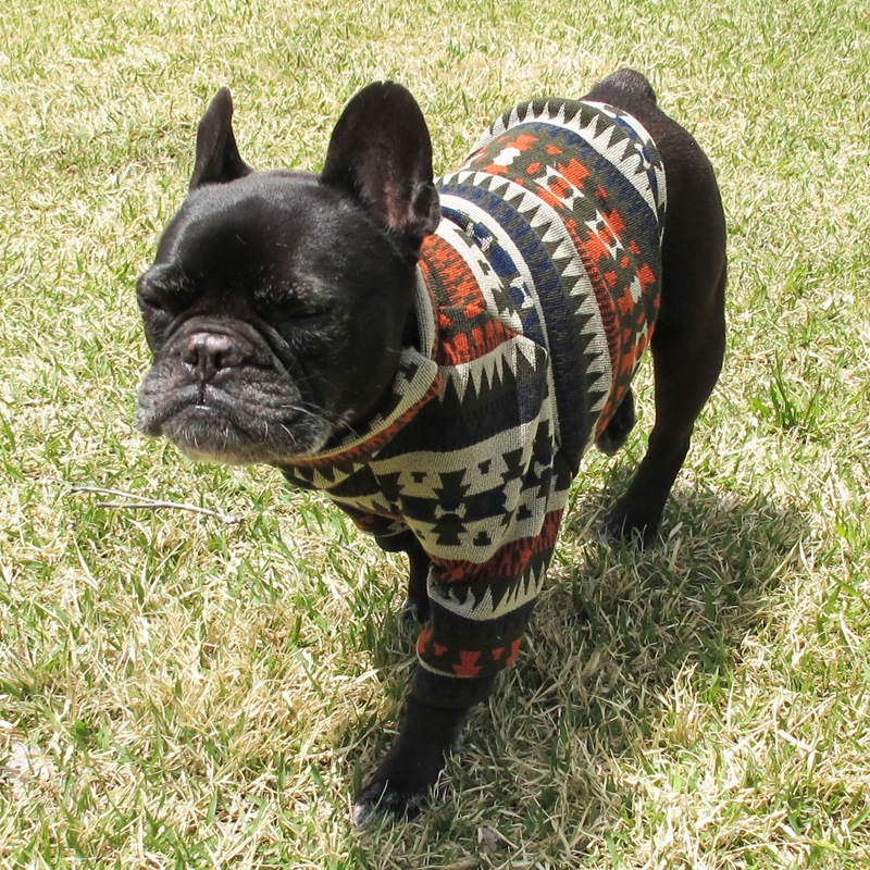 �ͥ��ƥ������ȥ졼�ʡ��ڰ���Τߥ᡼���زġ�