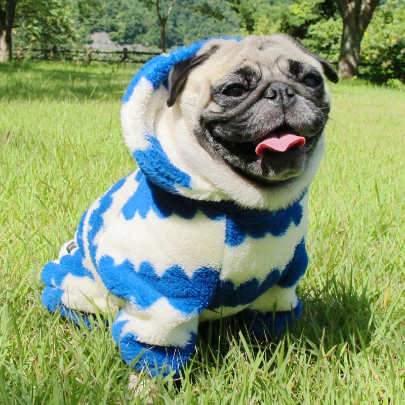 ������ۥա����դĤʤ��ʥ��եۥ磻�ȡߥ֥롼�ˡڥ᡼�����Բġ�