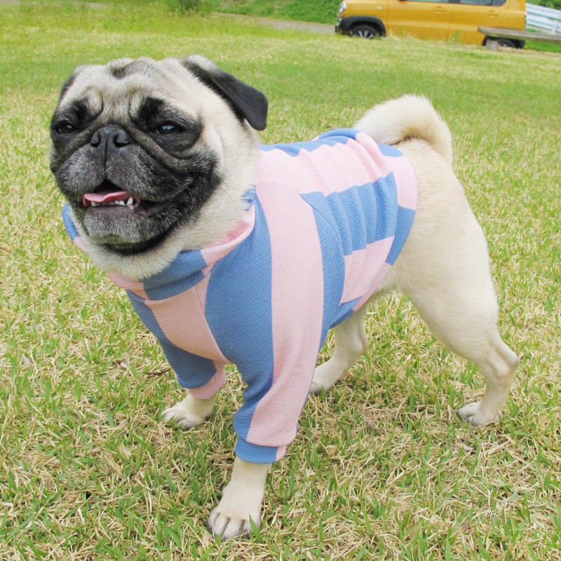 �ԥ󥯤ȿ忧���ܡ������եȥ졼�ʡ��ڰ���Τߥ᡼���زġ�