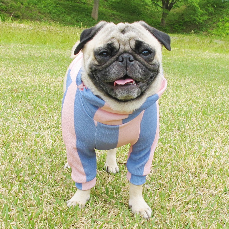 �ԥ󥯤ȿ忧���ܡ������եȥ졼�ʡ��ڰ���Τߥ᡼���زġ�