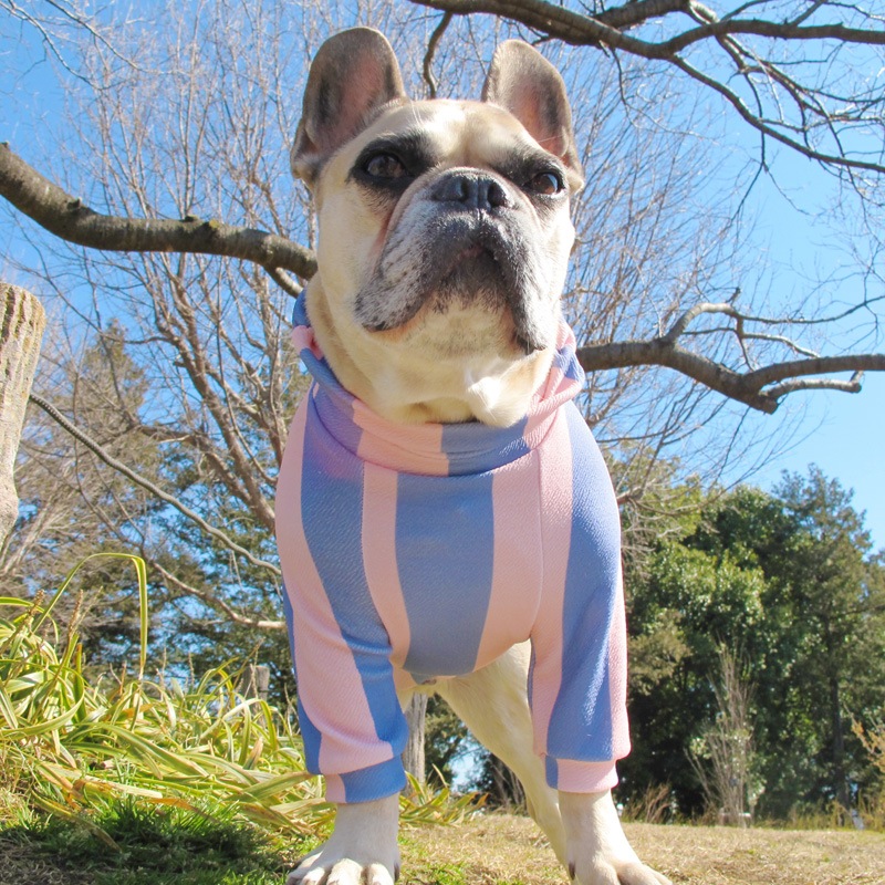 �ԥ󥯤ȿ忧���ܡ������եȥ졼�ʡ��ڰ���Τߥ᡼���زġ�