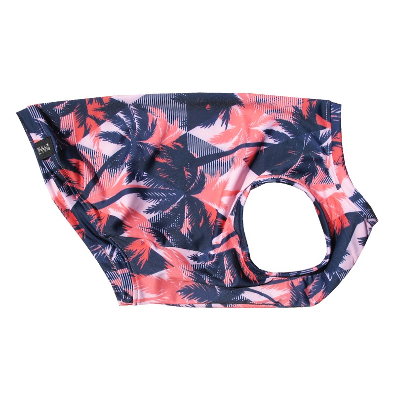 �����ϥ��󥯥ȥåס�T�����2��or���󥯥ȥå�1���T�����1��ϥ᡼���زġ�