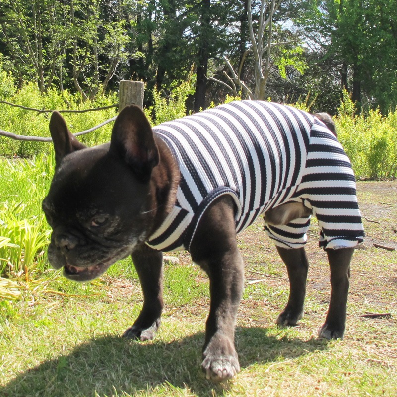 ܡƤĤʤڲƤĤʤ2orƤĤʤ1T()1ϥ᡼زġ