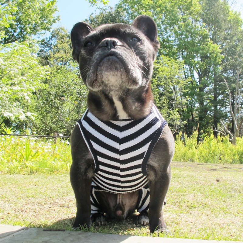 ܡƤĤʤڲƤĤʤ2orƤĤʤ1T()1ϥ᡼زġ