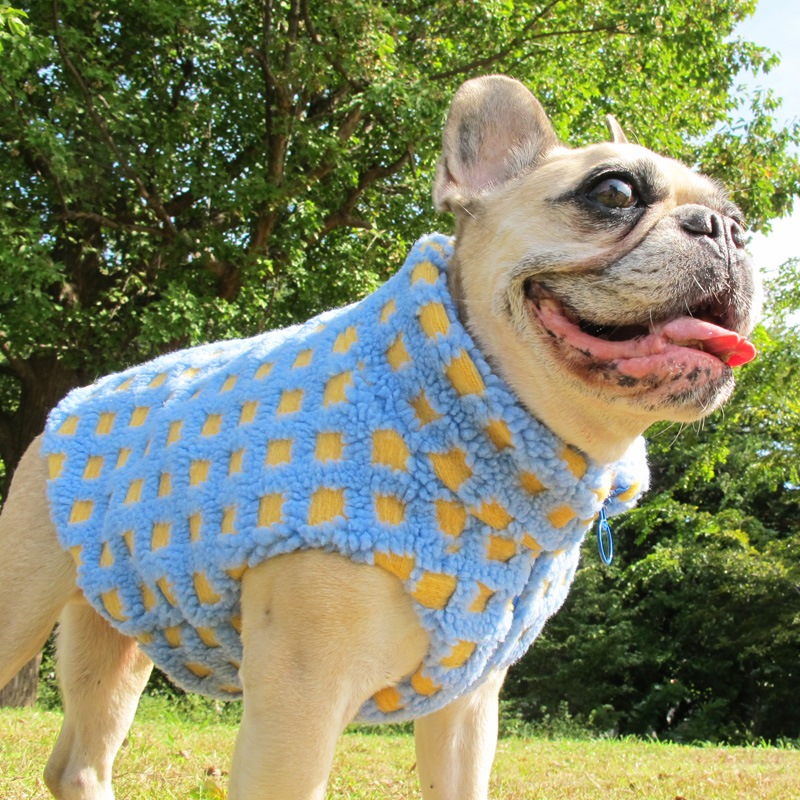 ⤳⤳å٥ȡڥ᡼Բġ