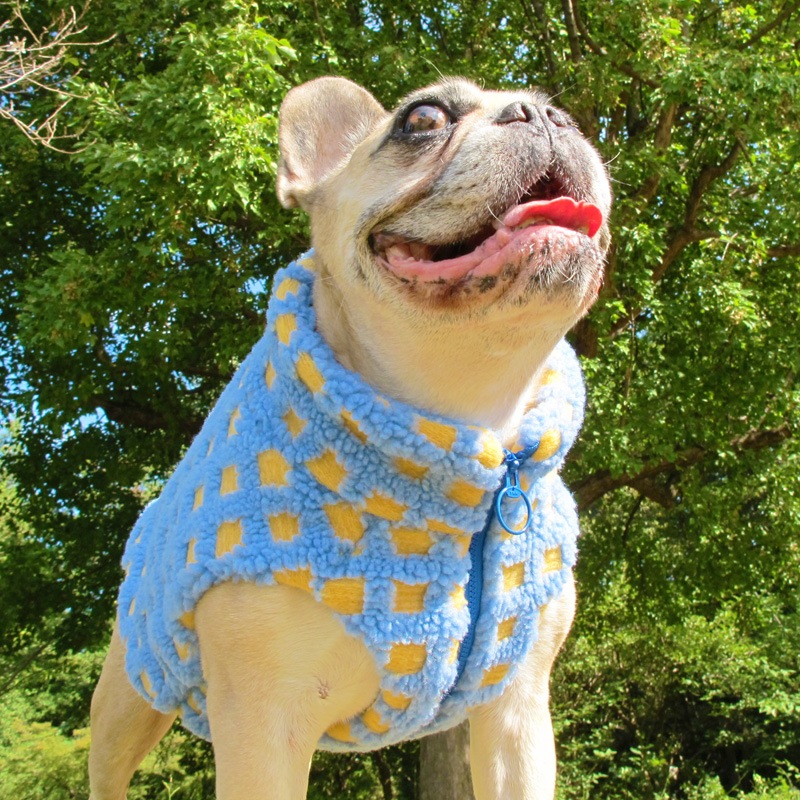 ⤳⤳å٥ȡڥ᡼Բġ