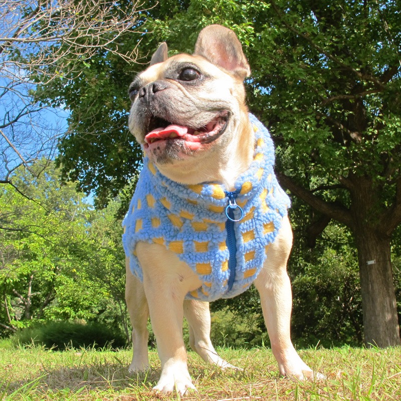 ⤳⤳å٥ȡڥ᡼Բġ