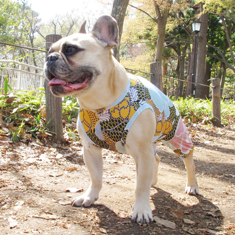 ��������ʥե��ץ��ȲƤĤʤ��ڲƤĤʤ�2��or�ƤĤʤ�1���T�����(����)1��ϥ᡼���زġ�