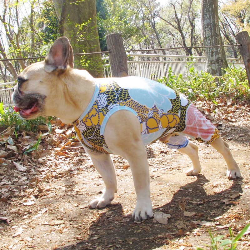 ��������ʥե��ץ��ȲƤĤʤ��ڲƤĤʤ�2��or�ƤĤʤ�1���T�����(����)1��ϥ᡼���زġ�